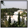 Tunis